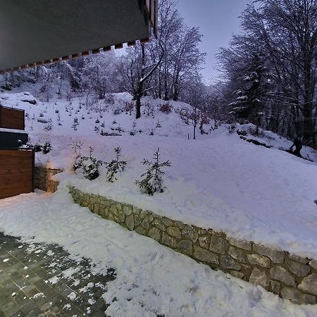 Mavrovo Ski Apartment エクステリア 写真